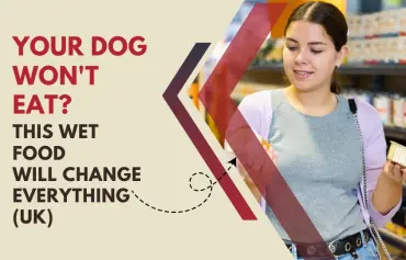 We pick 6 Best Wet Dog Food for Fussy Eaters UK